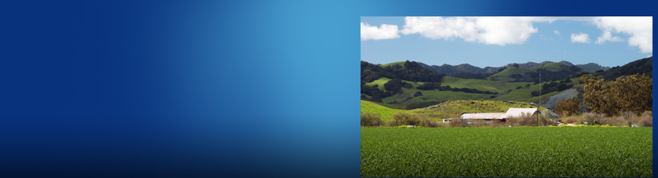 Donate CA Property 
